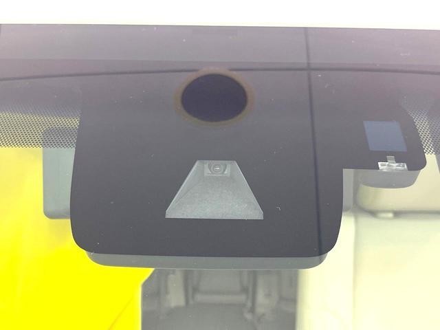 25963037_carP_l_13.jpg