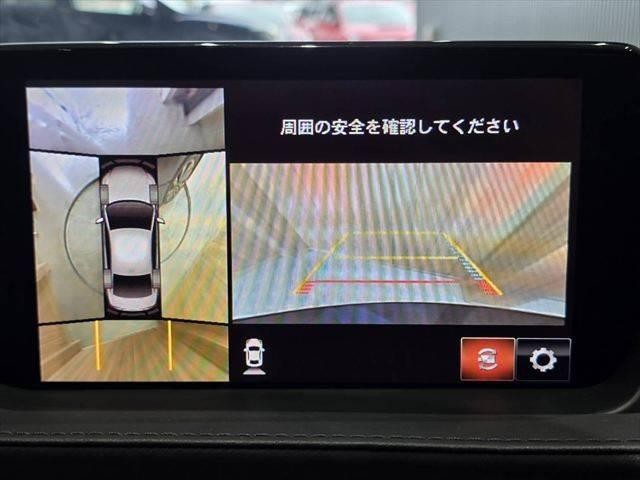 0209395A20260913D00307.jpg