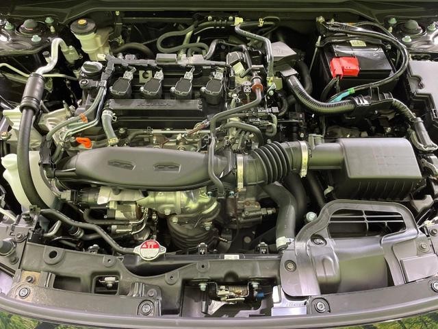 25527936_carP_l_16.jpg
