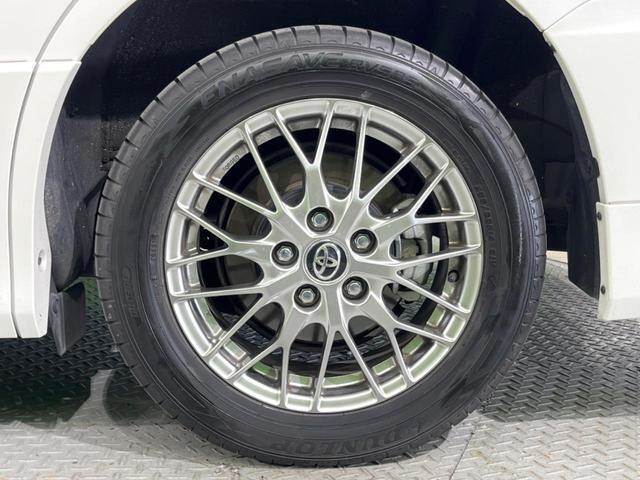 24912685_carP_l_8.jpg