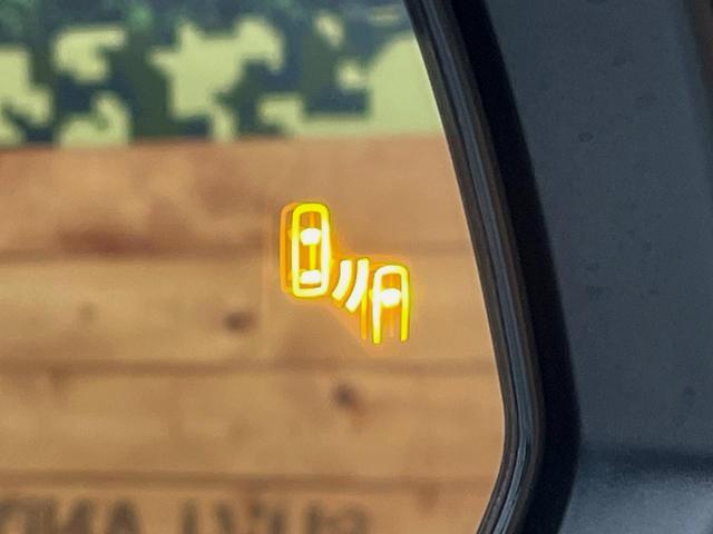 24685840_carP_l_14.jpg