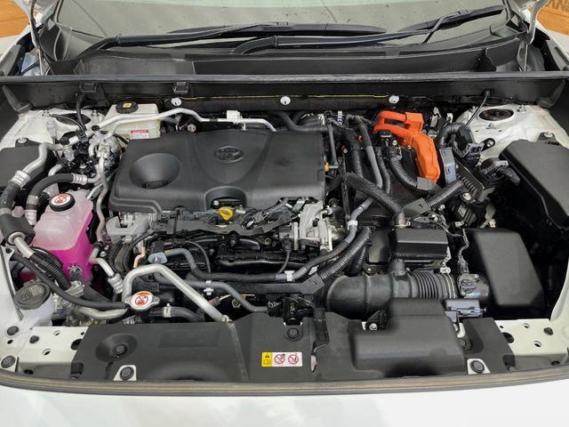 24685840_carP_l_20.jpg
