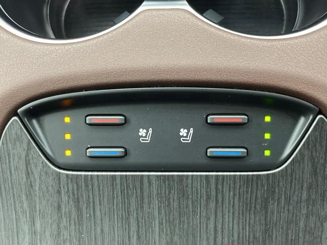 25942434_carP_l_14.jpg