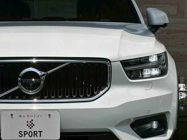 25318226_carP_l_20.jpg