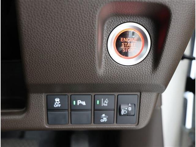24834326_carP_l_6.jpg