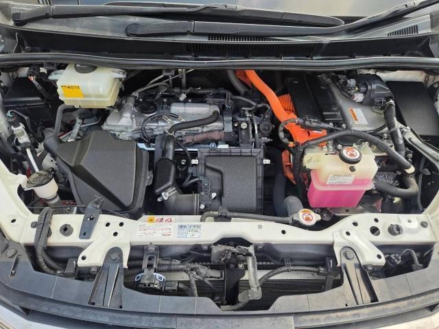 26844262_carP_l_10.jpg