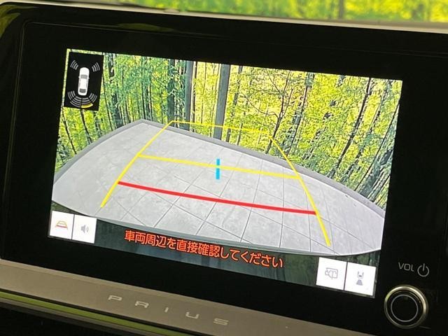 25983001_carP_l_4.jpg