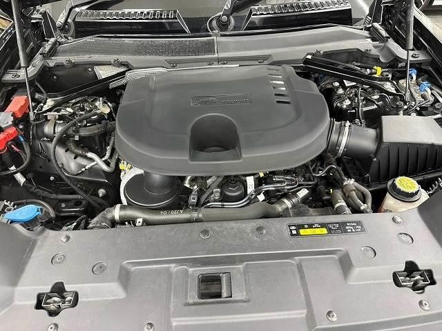 0208813A20261004D00313.jpg