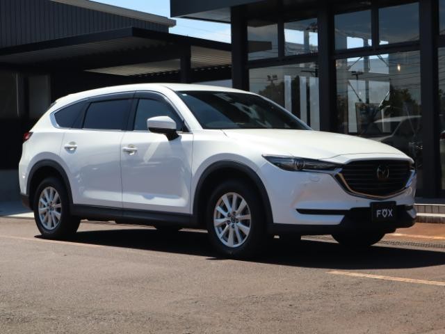 26385617_carP_l_8.jpg