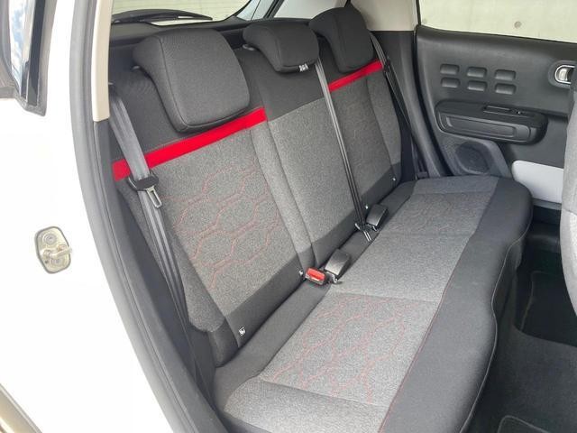 25673166_carP_l_19.jpg