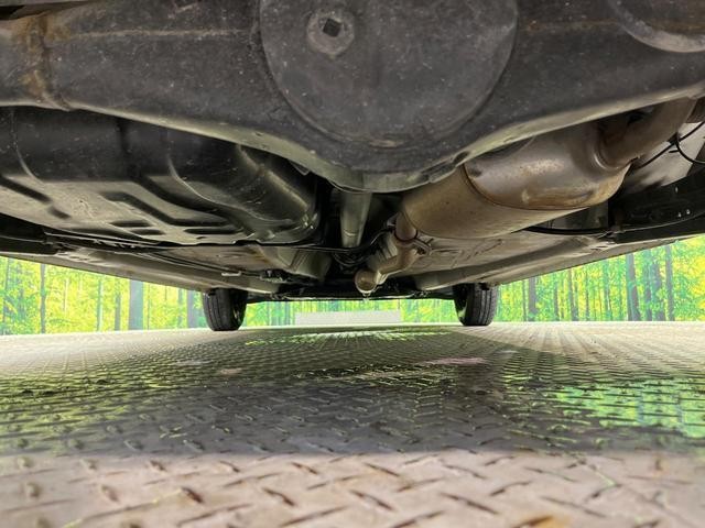 26731027_carP_l_18.jpg