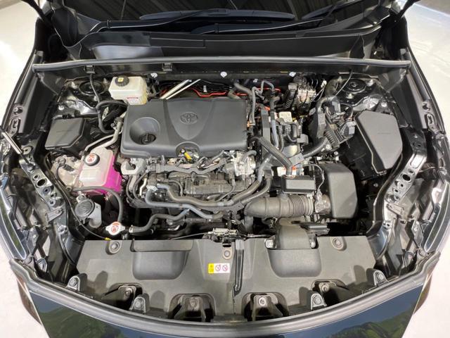 24501330_carP_l_16.jpg