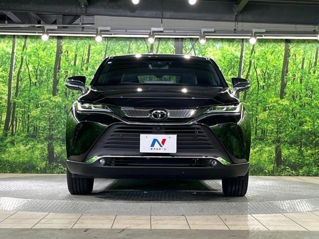 24953270_carP_l_8.jpg