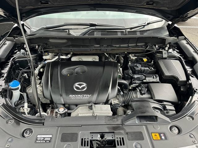0208369A20260923D00213.jpg