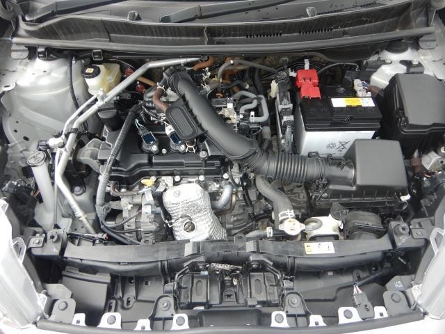 25389551_carP_l_17.jpg