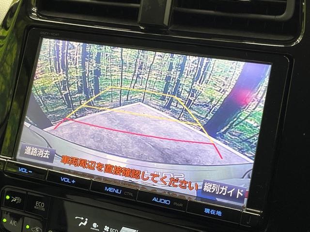 26731606_carP_l_4.jpg