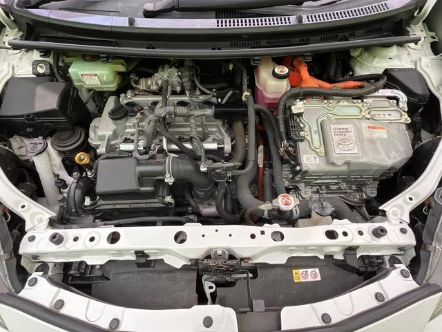 26731028_carP_l_16.jpg