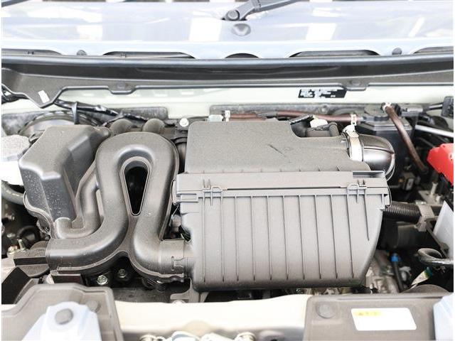 24834337_carP_l_16.jpg