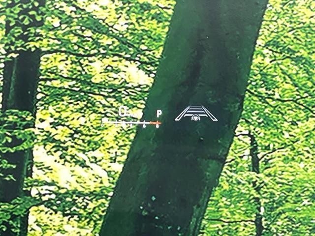 25963170_carP_l_14.jpg