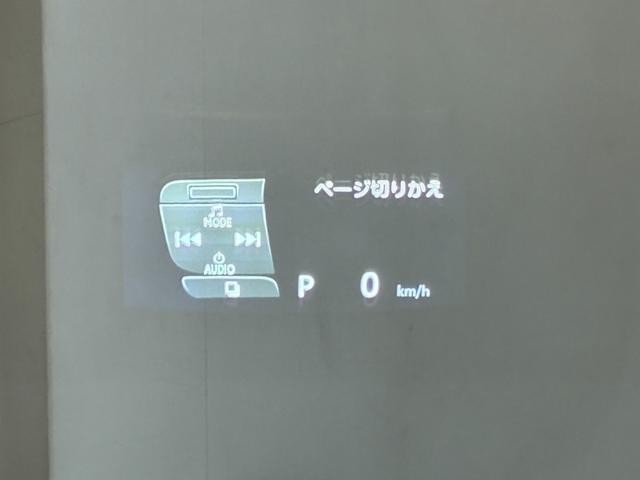 25586242_carP_l_9.jpg