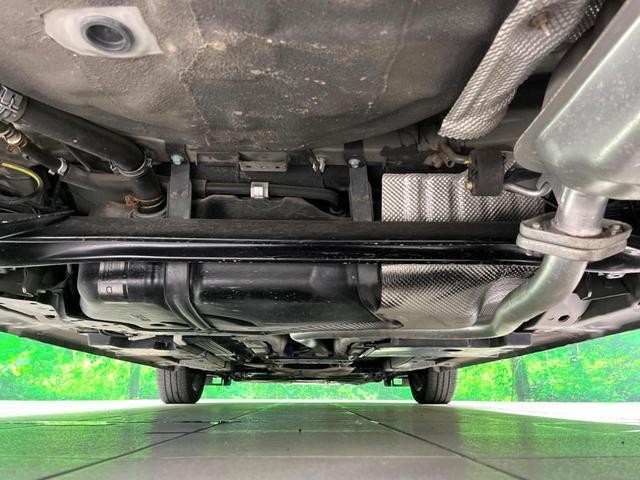 25983096_carP_l_18.jpg