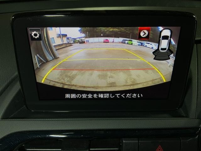 26466352_carP_l_11.jpg
