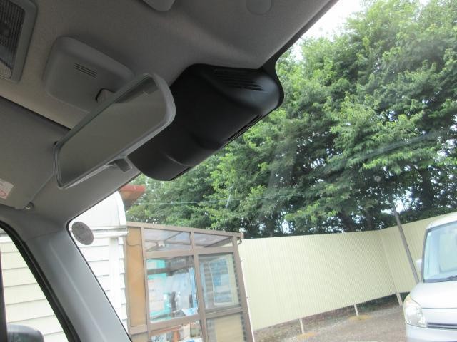 25389731_carP_l_6.jpg