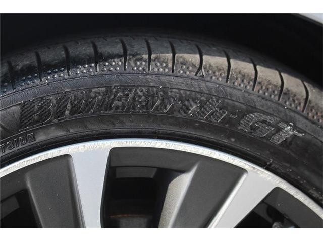 25748632_carP_l_6.jpg