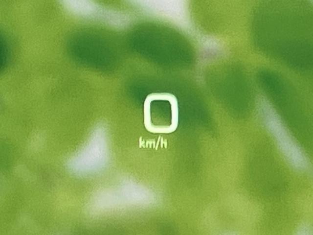 25329862_carP_l_8.jpg