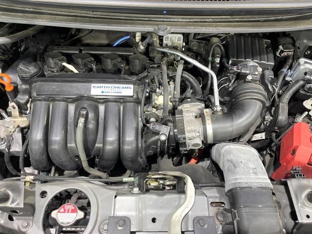25963218_carP_l_16.jpg