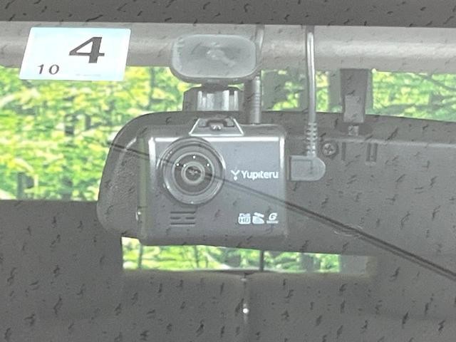 26380081_carP_l_10.jpg