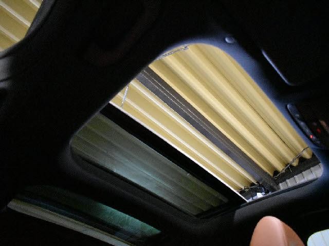 25081120_carP_l_10.jpg