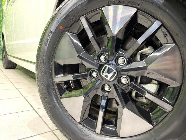 26380239_carP_l_8.jpg