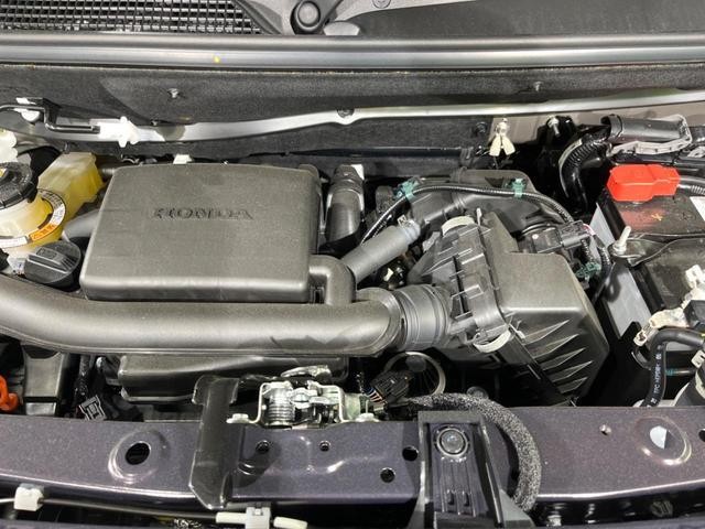 24974088_carP_l_16.jpg