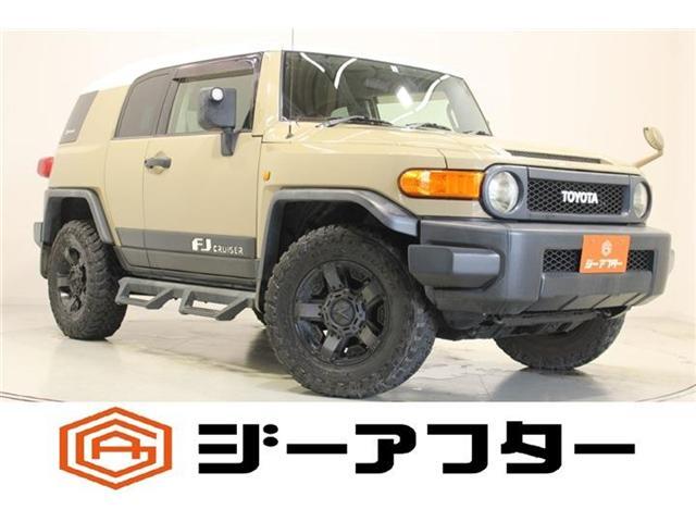 25708677_carP_l_1.jpg