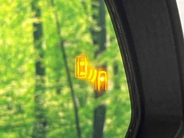 25793235_carP_l_10.jpg