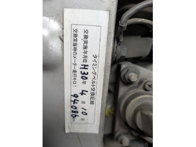 24394869_carP_l_5.jpg