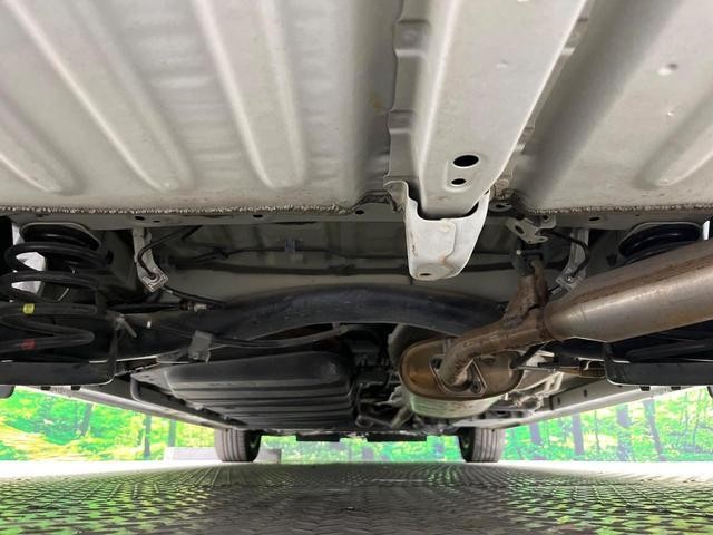 25963221_carP_l_18.jpg