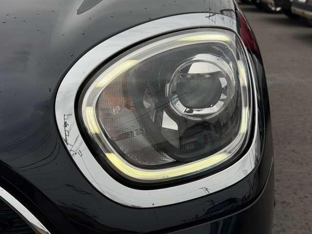 26446684_carP_l_19.jpg