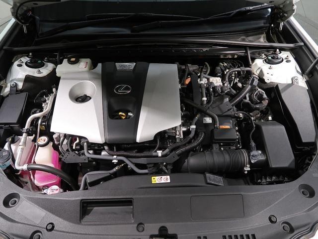 25323513_carP_l_18.jpg