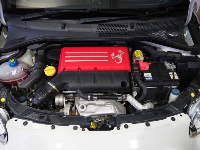 25587031_carP_l_17.jpg