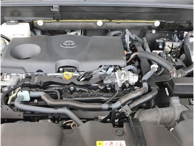 24958974_carP_l_18.jpg