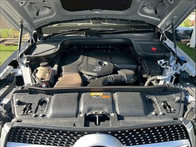 24213652_carP_l_6.jpg