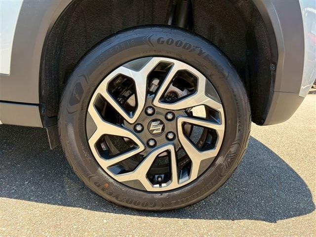 25081486_carP_l_5.jpg