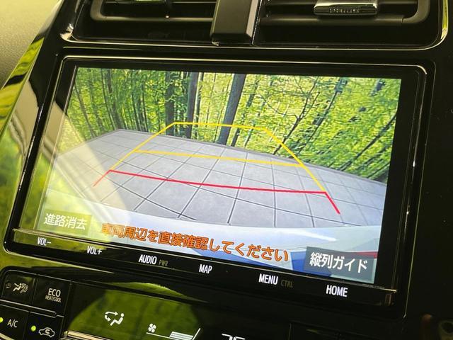 23615698_carP_l_4.jpg