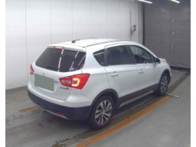 26058020_carP_l_10.jpg