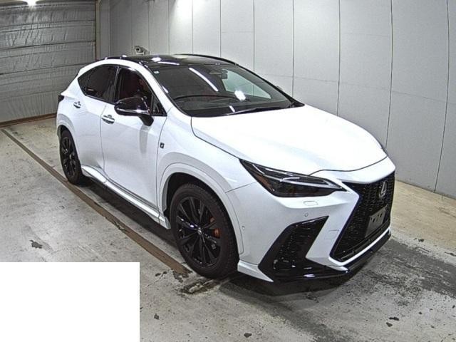 25983906_carP_l_4.jpg