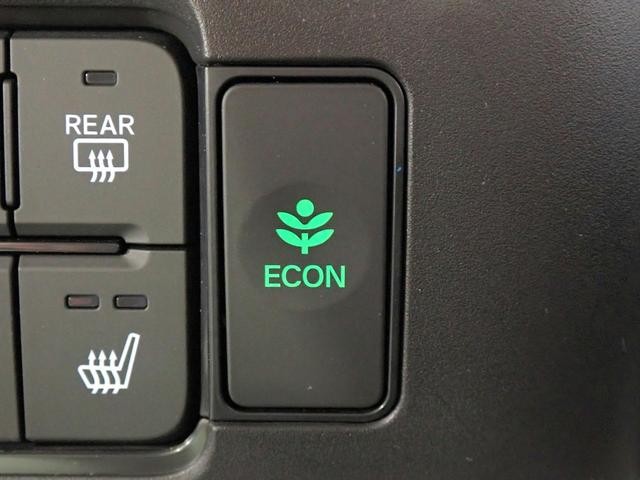 0204644A30260823W00114.jpg