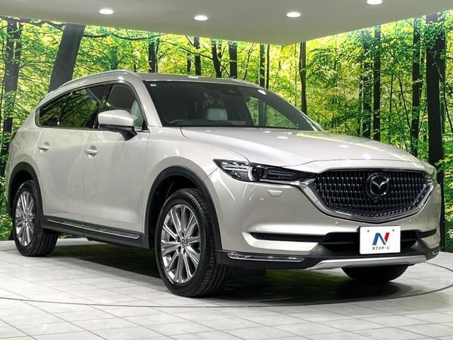 25811588_carP_l_16.jpg