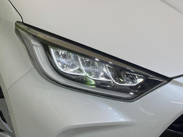 27052010_carP_l_7.jpg